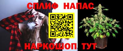 кокс Пугачёв